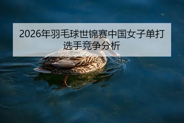 2026年羽毛球世锦赛中国女子单打选手竞争分析
