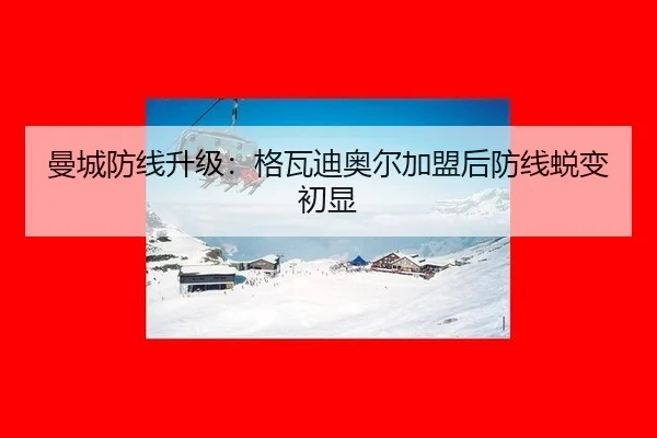 曼城防线升级：格瓦迪奥尔加盟后防线蜕变初显