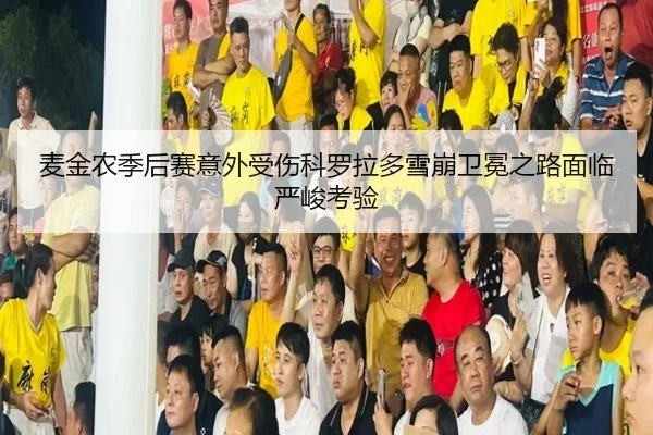 麦金农季后赛意外受伤科罗拉多雪崩卫冕之路面临严峻考验