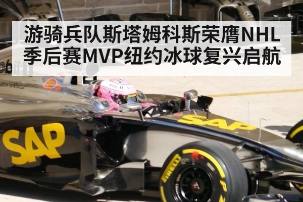 游骑兵队斯塔姆科斯荣膺NHL季后赛MVP纽约冰球复兴启航